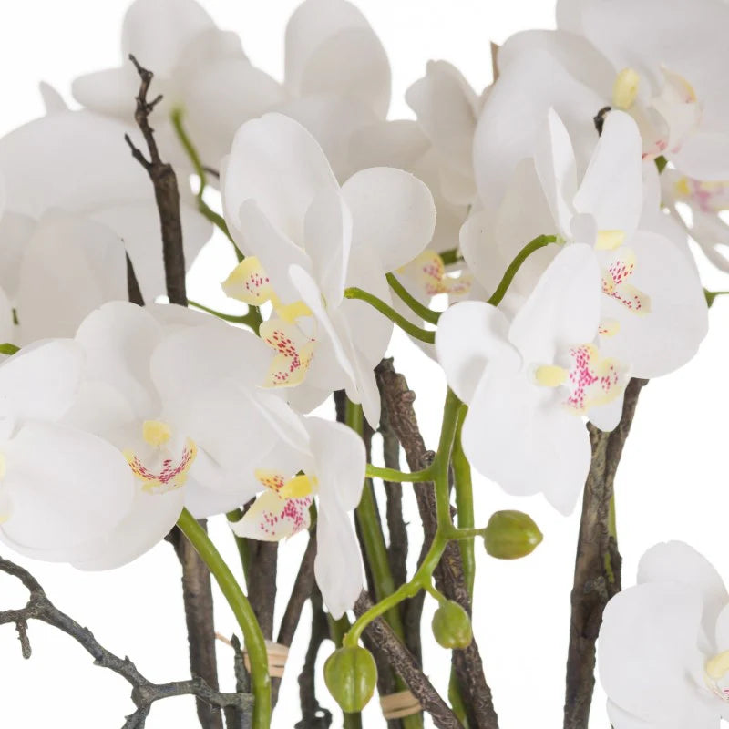 Large Stone Potted Orchid with Roots – Realistic Faux Plant Décor