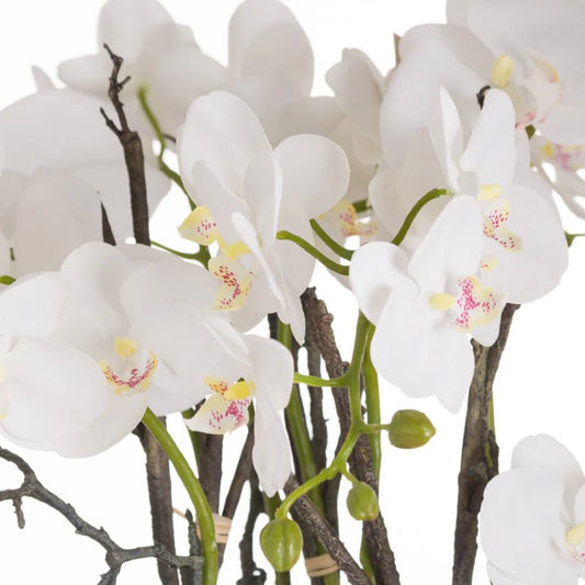 Large Stone Potted Orchid with Roots – Realistic Faux Plant Décor