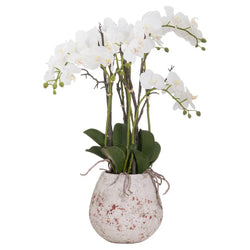 Large Stone Potted Orchid with Roots – Realistic Faux Plant Décor