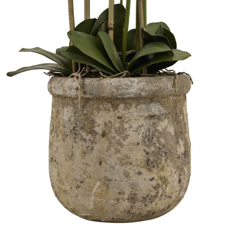 Large White Orchid in Antique Stone Pot – 153 cm Premium Faux Plant Décor