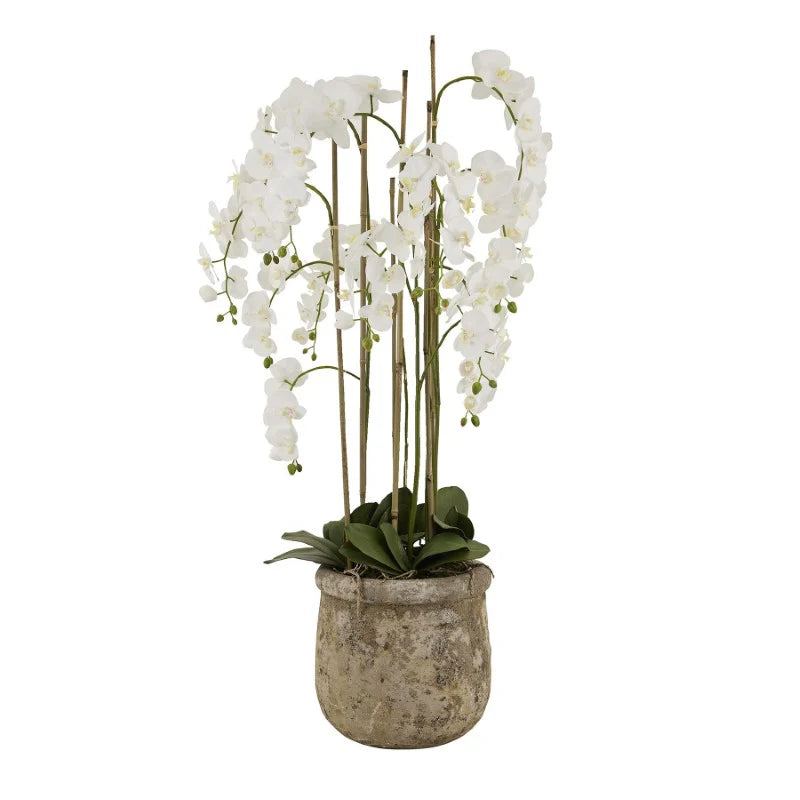 Large White Orchid in Antique Stone Pot – 153 cm Premium Faux Plant Décor