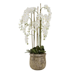 Large White Orchid in Antique Stone Pot – 153 cm Premium Faux Plant Décor