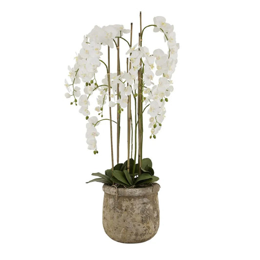 Large White Orchid in Antique Stone Pot – 153 cm Premium Faux Plant Décor