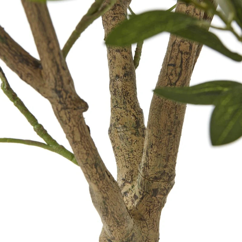 Apulia Olive Tree in White Pot – 240 cm Tall Realistic Indoor Decor