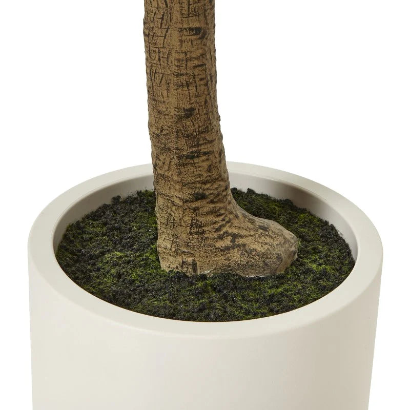 Apulia Olive Tree in White Pot – 240 cm Tall Realistic Indoor Decor
