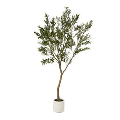 Apulia Olive Tree in White Pot – 240 cm Tall Realistic Indoor Decor